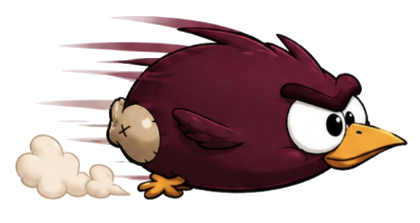 Kackspecht dasht